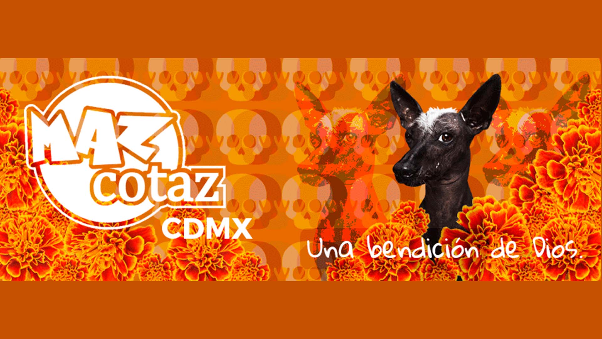 Banner2